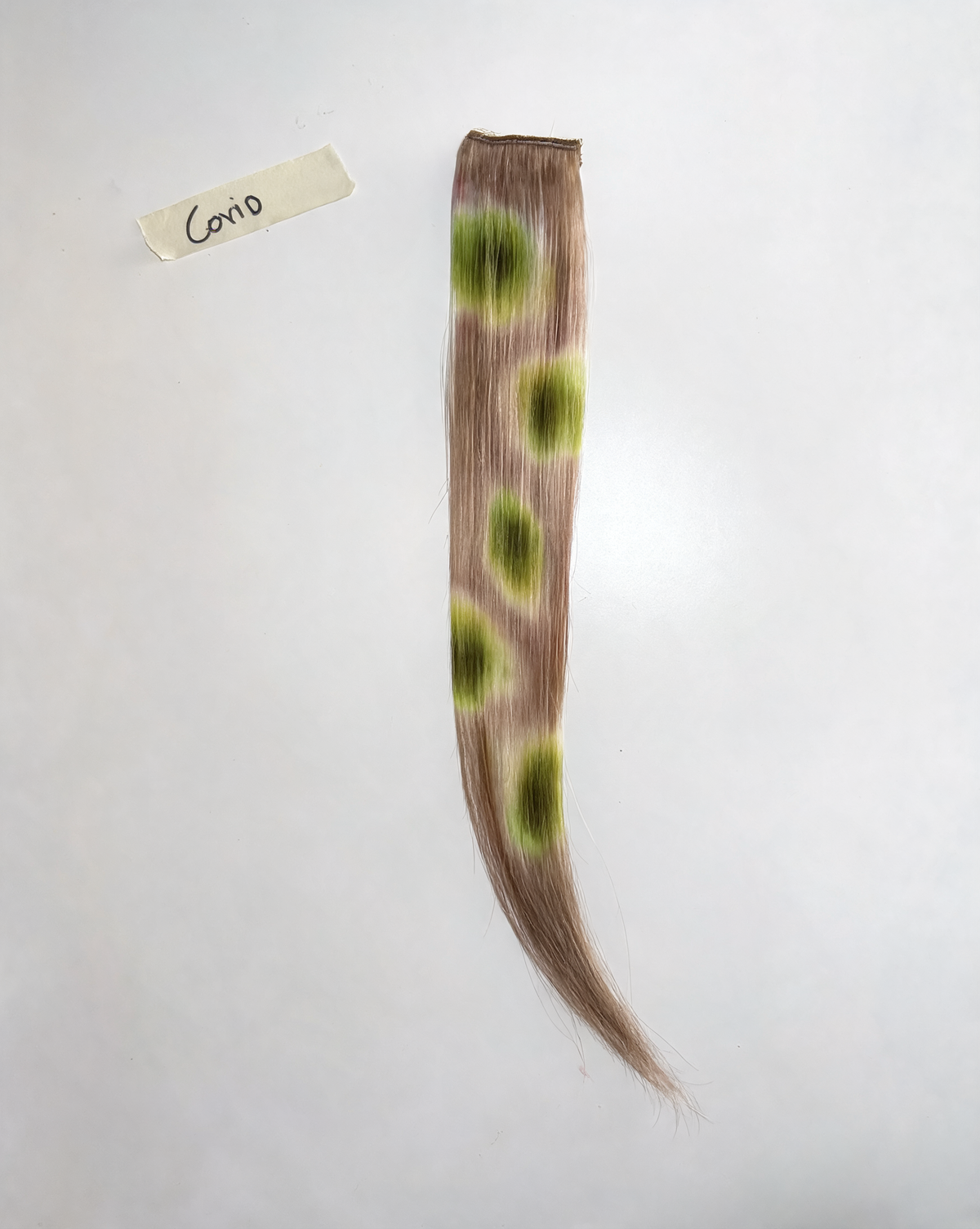 CIOCCHETTA "COVID"