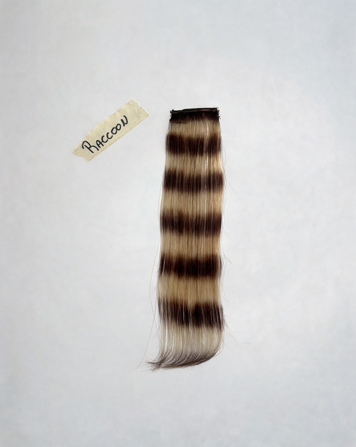 CIOCCHETTA "RACCOON 20CM"